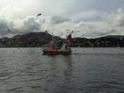 Norwegen 2008 Rundereim